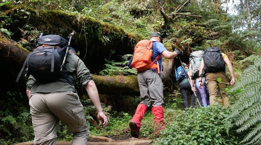 The Epic 5-Day Kilimanjaro Quest: Best Umbwe Route 2027/2028
