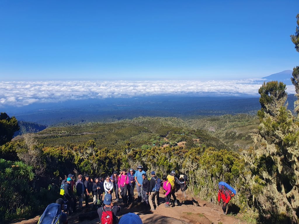 The Best 7-Day Umbwe Route Kilimanjaro Climb 2027/2028/2029: Complete Itinerary and Climbing Guide