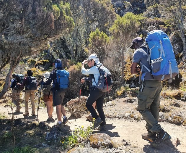 The Ultimate 7-Day Rongai Route Kilimanjaro Climb 2027/2028: Complete Itinerary, Costs and Mountain Guide