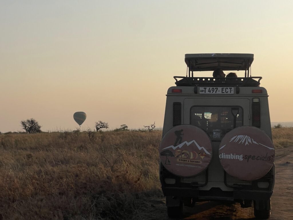 Plan Your ultimate Tanzania Safari Tours