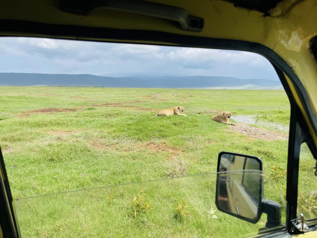 Ultimate Kenya vs Tanzania