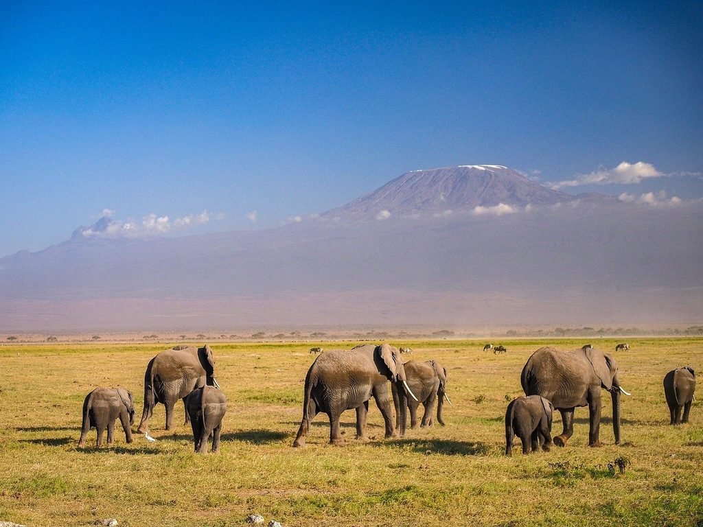 Amboseli National Park Safari Guide 2027/2028: Wildlife, Mount Kilimanjaro Views and Travel Tips
