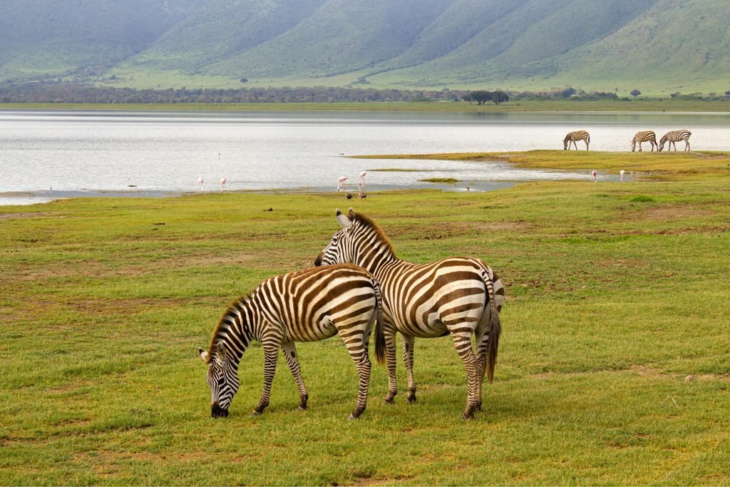 The Ultimate 3-Day Lake Manyara and Ngorongoro Crater Safari 2027/2028