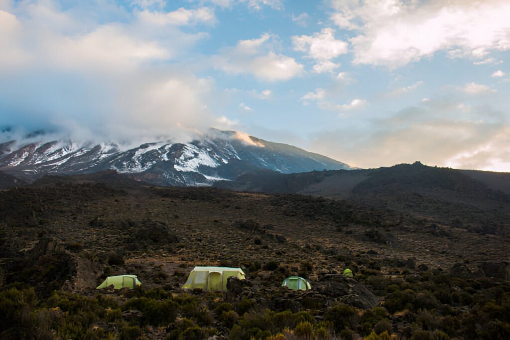 The premiere 7-days Kilimanjaro Climbing Lemosho