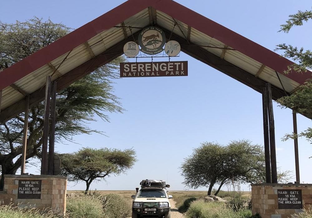 Serengeti vs Kruger National Park: Which Is Better for an African Safari in 2027?