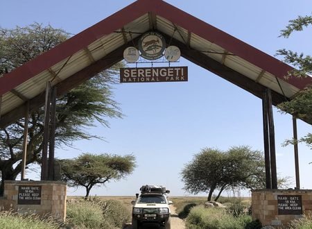 Serengeti vs Kruger National Park: Which Is Better for an African Safari in 2027?