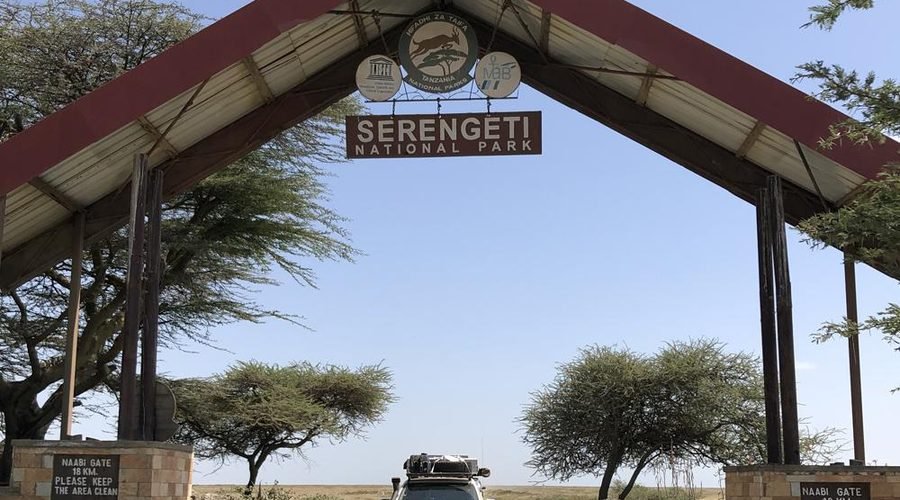 Serengeti vs Kruger National Park: Which Is Better for an African Safari in 2027?