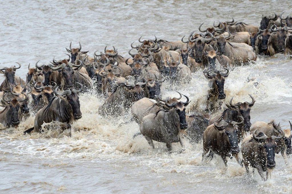Ultimate Luxury Safari in Tanzania 2027: What to Expect, Best Destinations, Lodges and Travel Tips