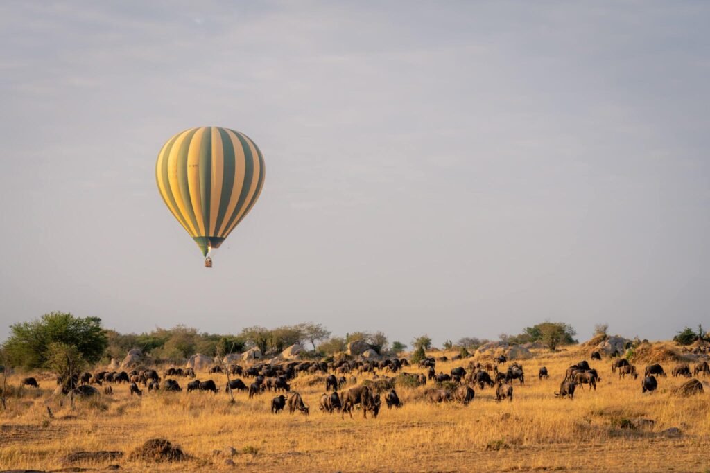 Top 10 Activities to Experience in Tanzania