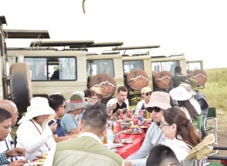 The best 3 days Tanzania safari in 2025/2026