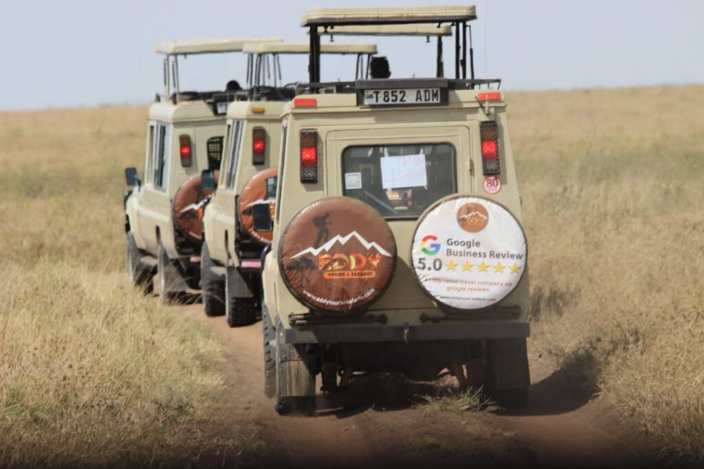 4-days Serengeti-Ngorongoro Creator Safaris on 2026/2027