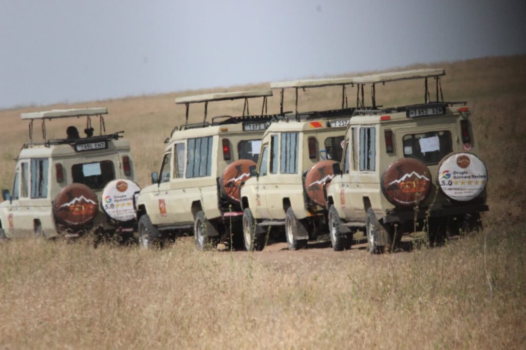 The best 6-days Safaris to Manyara, Tarangire, Serengeti & Ngorongoro 6-days Safaris to Manyara, Tarangire,