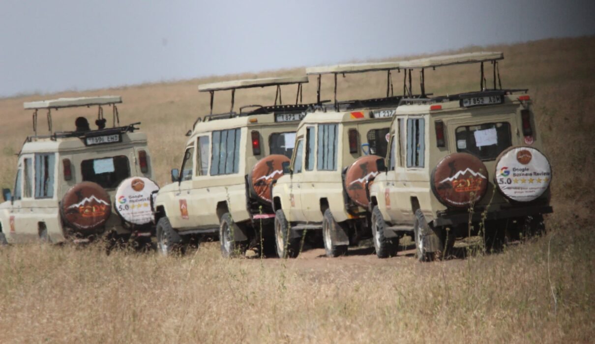 The best 4-days safari in Tanzania Serengeti, and Ngorongoro crater