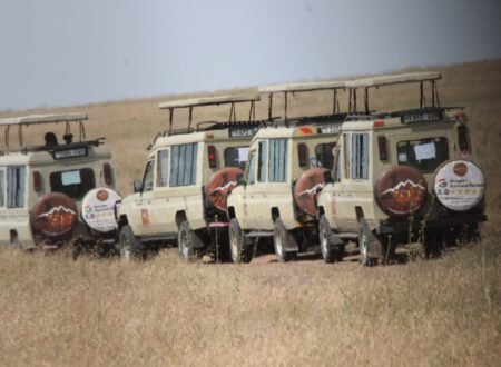 The best 4-days safari in Tanzania Serengeti, and Ngorongoro crater