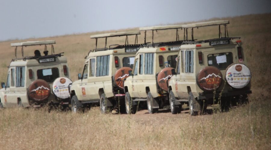 The best 4-days safari in Tanzania Serengeti, and Ngorongoro crater