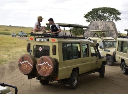 The best 7-days Northern Circuit Safari in Tanzania