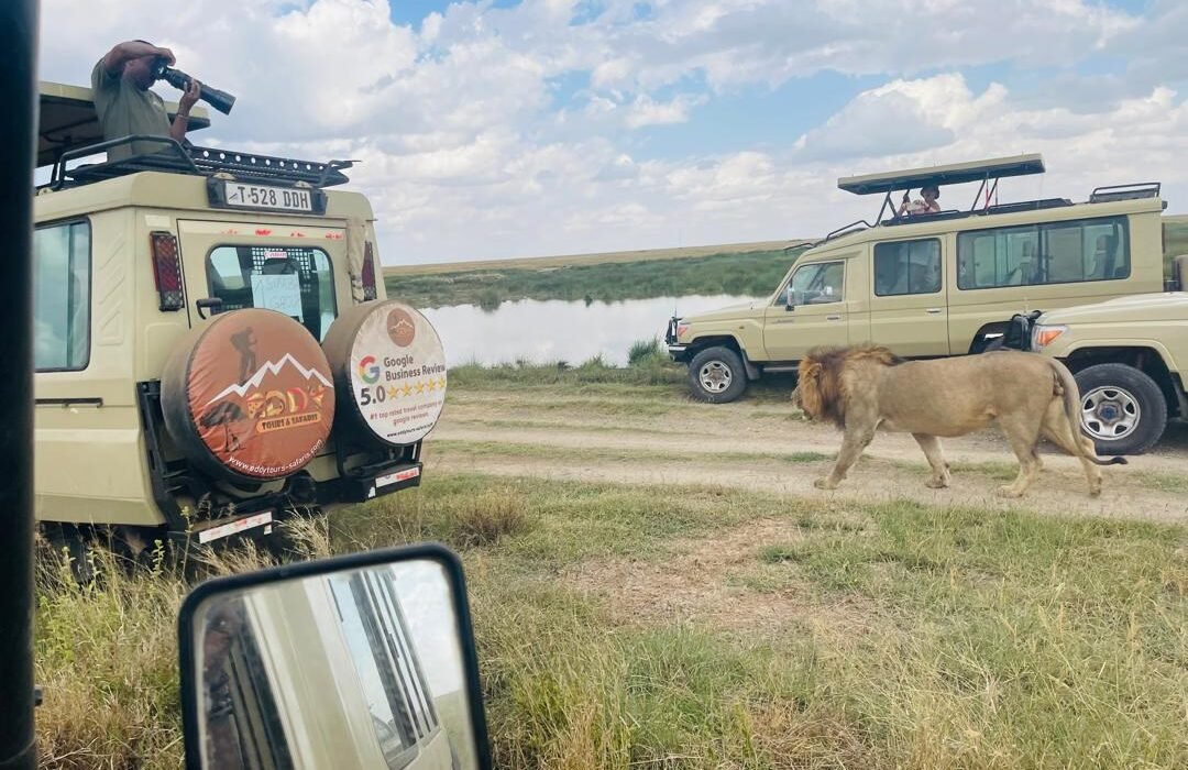 The best 5-days safari Tarangire-Serengeti-to Ngorongoro