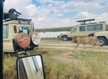 The best 5-days safari Tarangire-Serengeti-to Ngorongoro