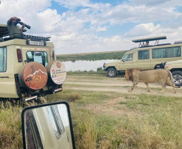 The best 5-days safari Tarangire-Serengeti-to Ngorongoro