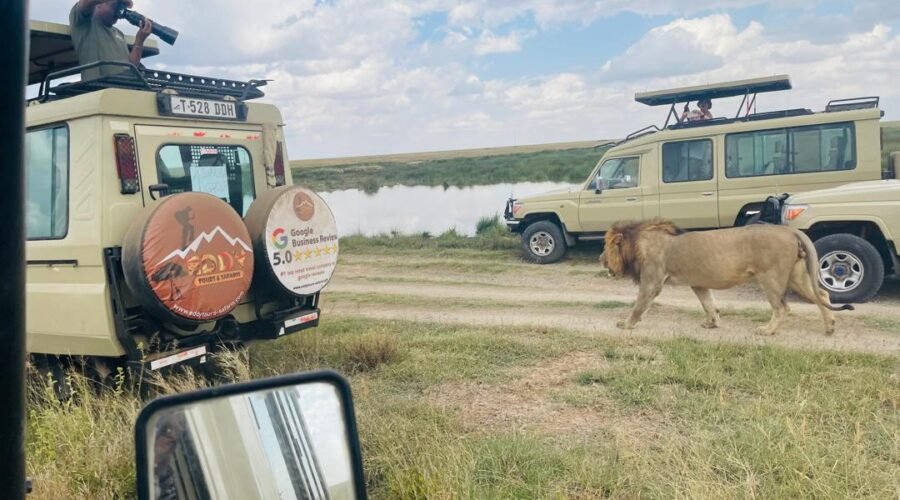 The best 5-days safari Tarangire-Serengeti-to Ngorongoro
