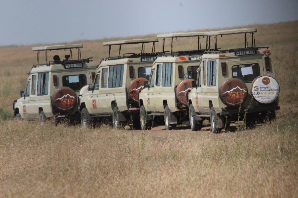 7 days safari serengeti,ngorongo, tarangire