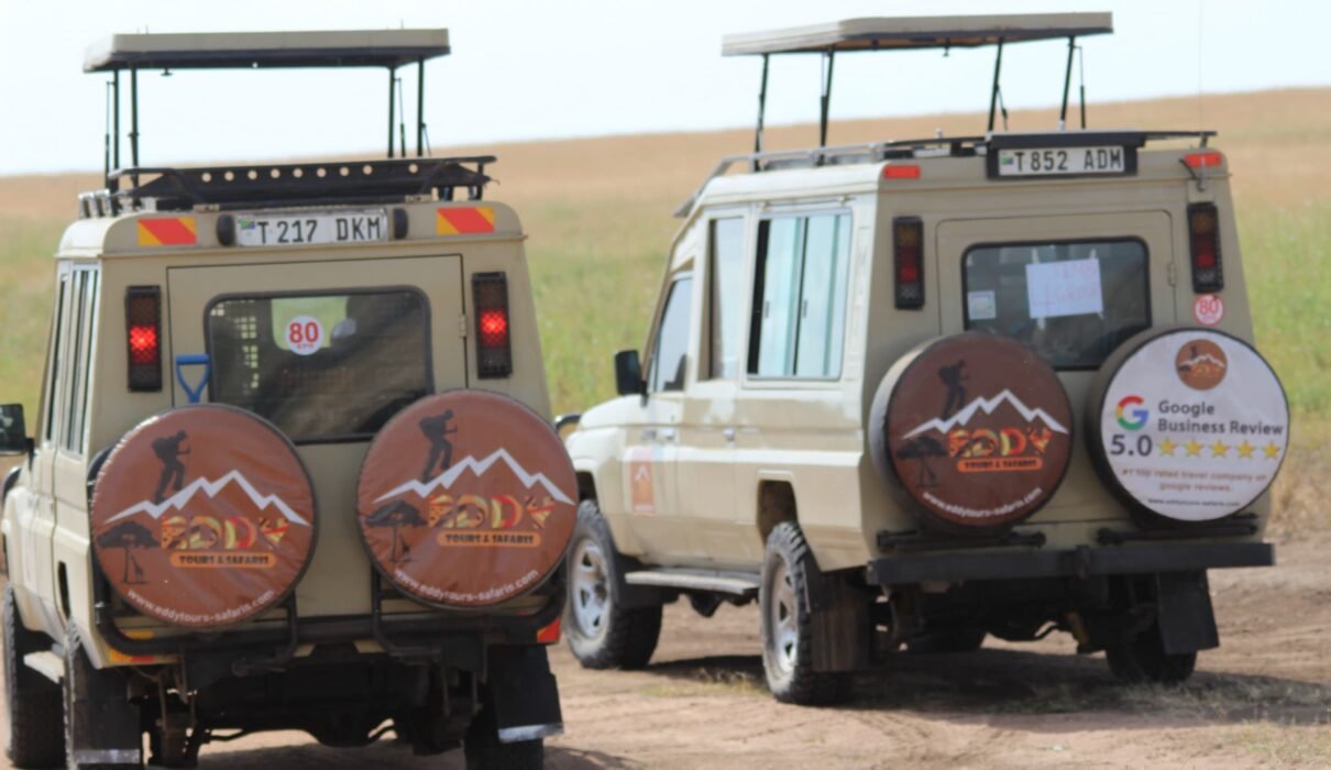 Best 6 days Serengeti Wildebeest Migration Safari