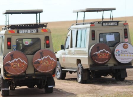 Best 6 days Serengeti Wildebeest Migration Safari
