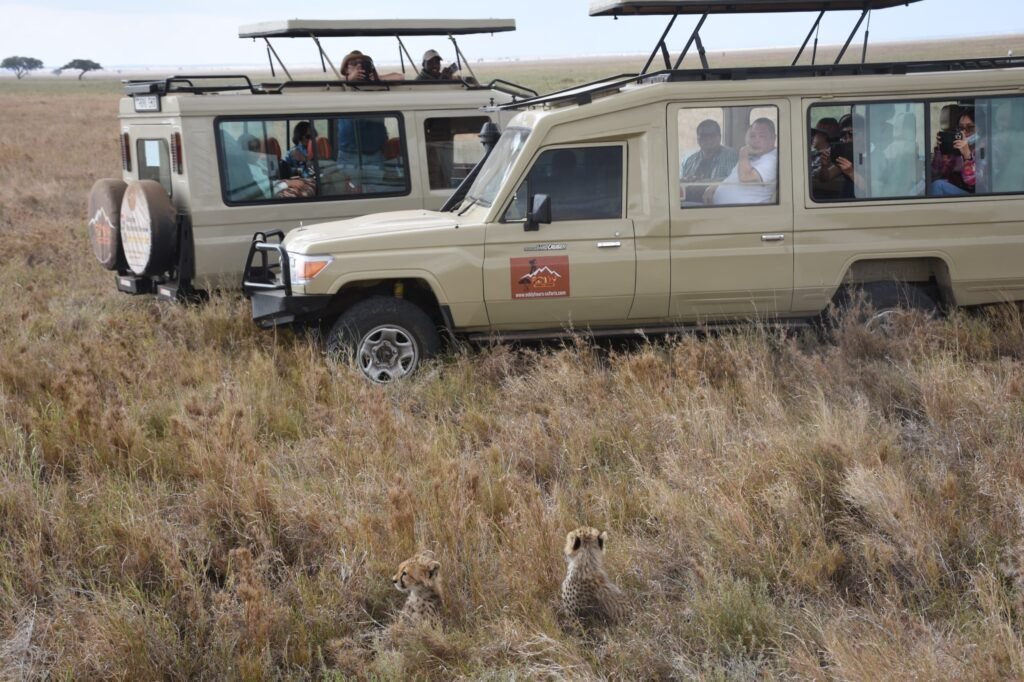 4-days 3 Nights Serengeti and Ngorongoro 2026