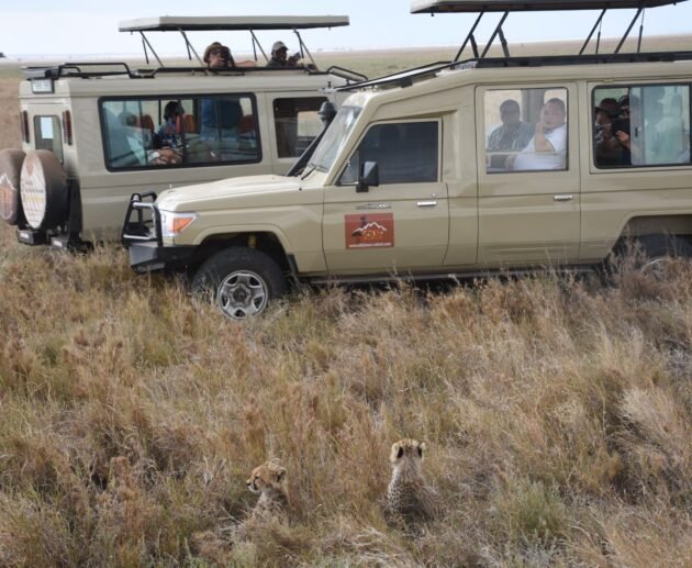 The best 6-days Northern Circuit Safari in Tanzania