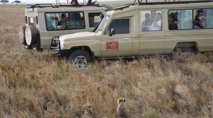 3-days Safaris to Serengeti & Ngorongoro