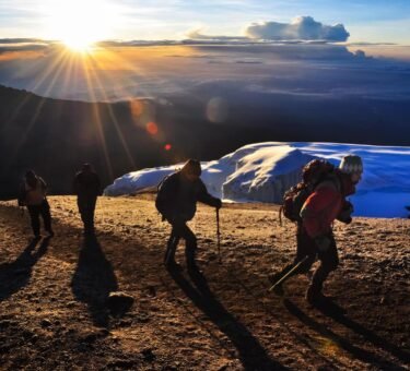 Lemosho 2026 Kilimanjaro in 7-days Lemosho route