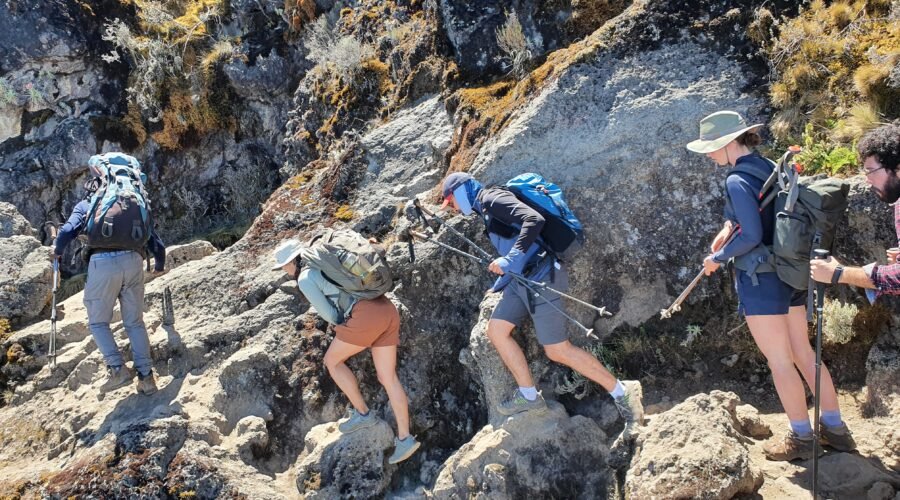 6-days Kilimanjaro Climbing in 6-days Marangu 2026