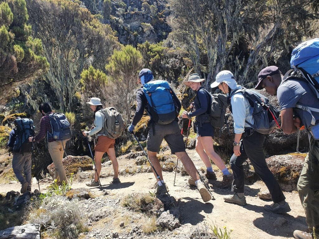 8 Days Kilimanjaro Climb via Lemosho Route