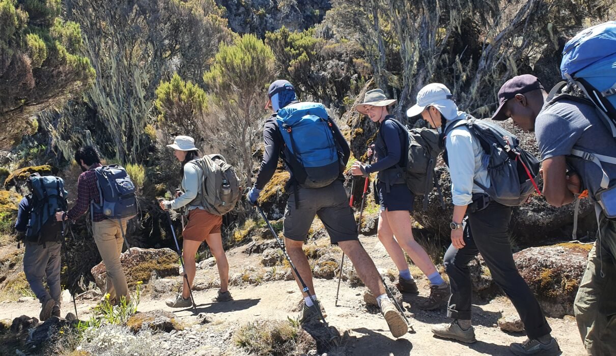 8 days Kilimanjaro Climbing Umbwe route