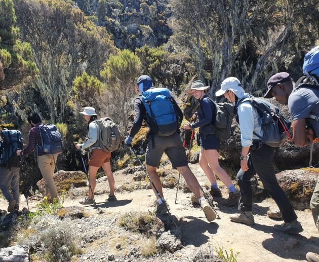 6 days Kilimanjaro Climbing Machame route
