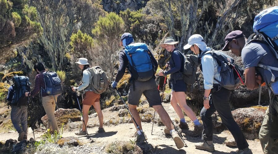 Kilimanjaro Climbing Umbwe route in 6-days Itinerary