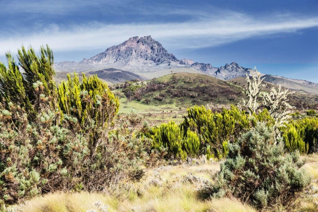 The new updated 7-days Kilimanjaro Climbing Lemosho Route on 2026/2027-2028