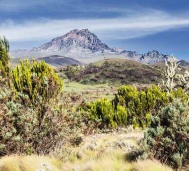 Kilimanjaro Climbing Machame route in 6-days