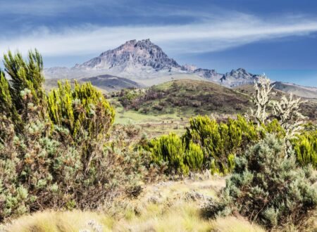 EXCLUDED FROM TREKKING PACKAGE: 8 days Kilimanjaro Climbing Lemosho route itinerary