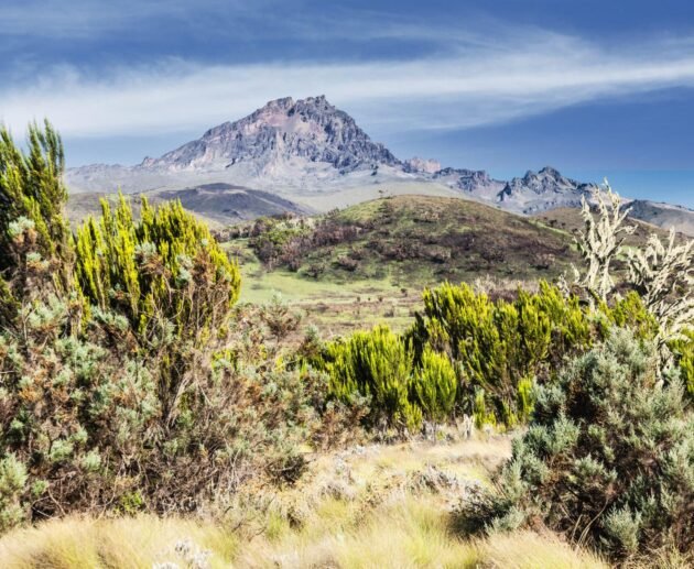 Kilimanjaro Climbing Lemosho route in 8-days