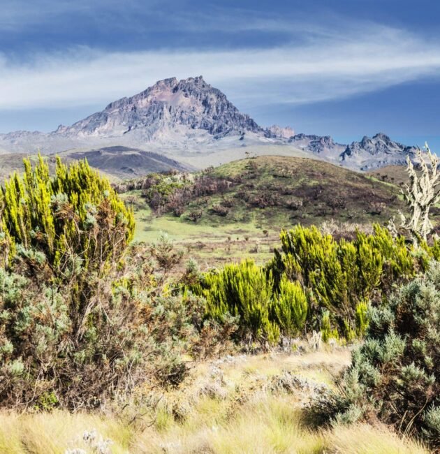 Kilimanjaro Climbing Lemosho route in 8-days
