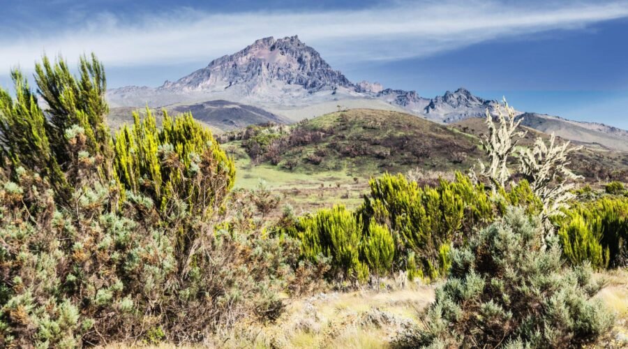 Kilimanjaro Climbing Lemosho route in 8-days