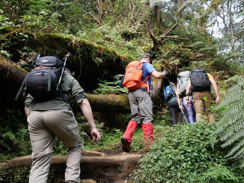 6-Day and 7-Day Rongai Route Packages for Kilimanjaro Climbers in 2027 6-Day and 7-Day Rongai Route Packages for Kilimanjaro Climbers in 2027