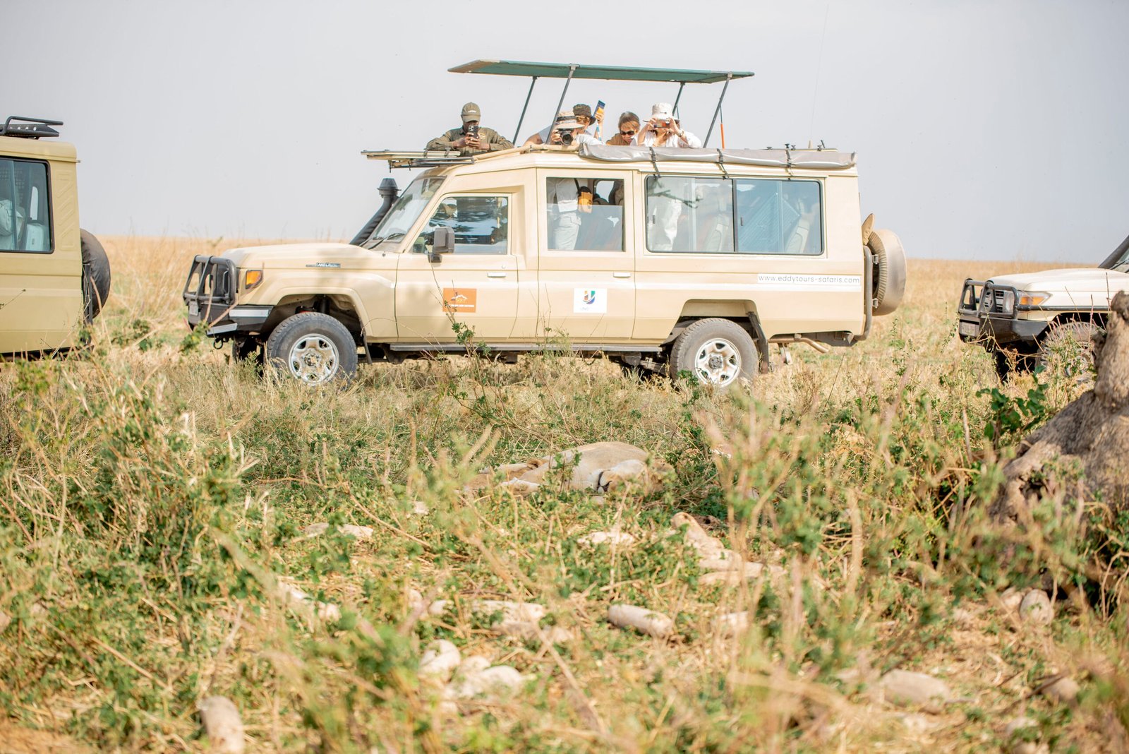 Best Tour company in Tanzania