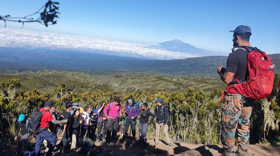 The Best Updated 6-Day Rongai Route Kilimanjaro Climb 2027/2028/2029