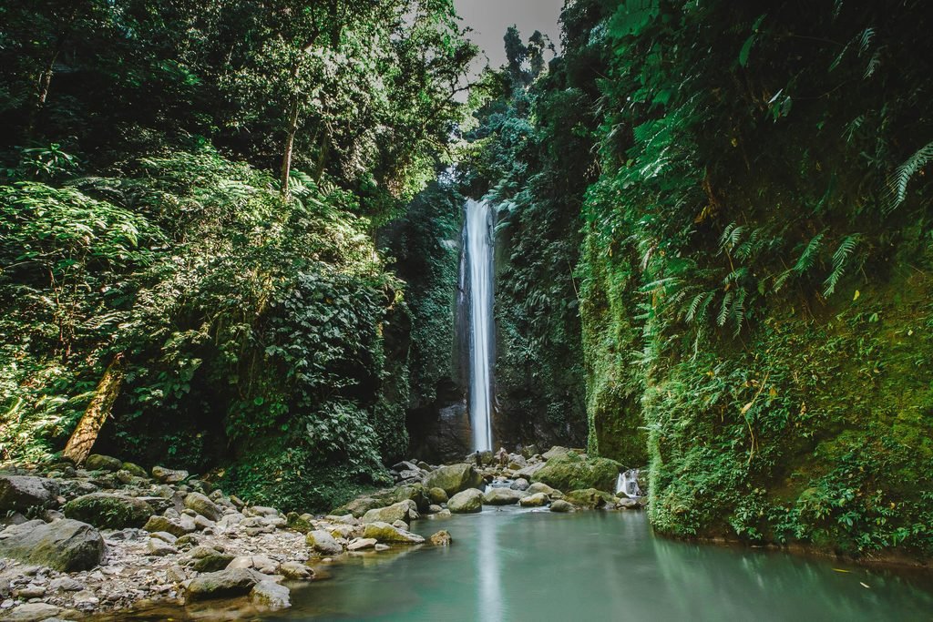 Hiking in Tanzania: Top Trails & Wildlife Adventures Hiking in Tanzania: Top Trails & Wildlife Adventures