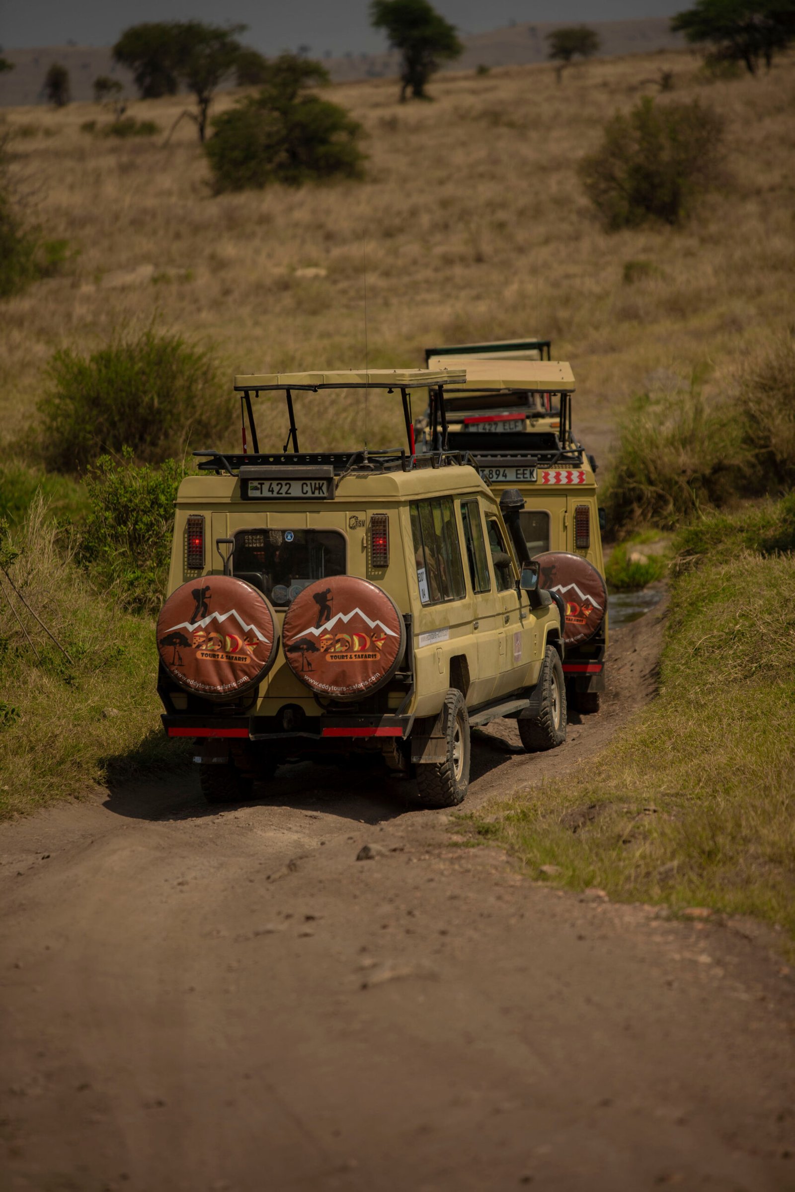 Eddy Tours Tanzania travel experience
