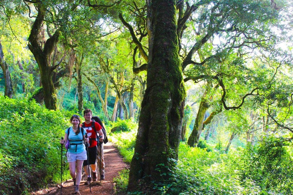 Best 5-Day and 6-Day Marangu Route Kilimanjaro Climb Packages for 2027