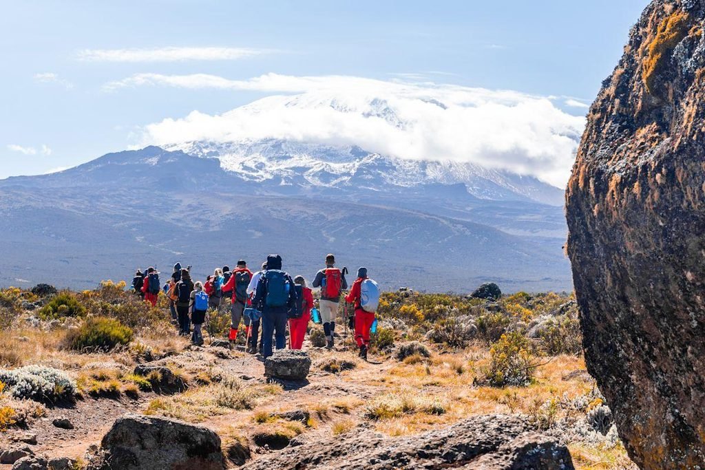 The Best 7-Day Lemosho Route Kilimanjaro Climbing Package for 2027 The Best 7-Day Lemosho Route Kilimanjaro Climbing Package for 2027
