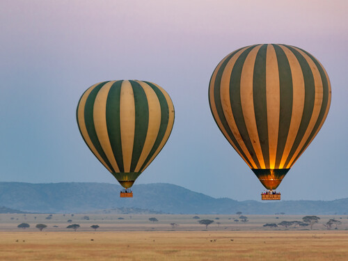 10 Top Activities While on Safari: Unforgettable Wildlife Adventures 10 Top Activities While on Safari: Unforgettable Wildlife Adventures